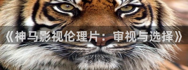 嫩草影院入口精品在线