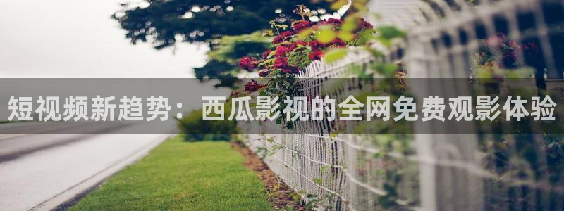 嫩草影院国内精品