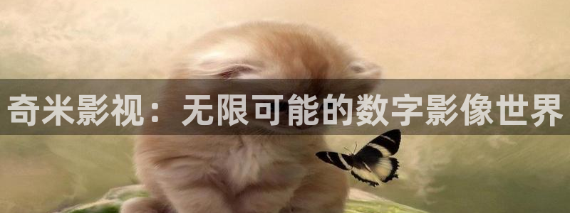 嫩草影院三区